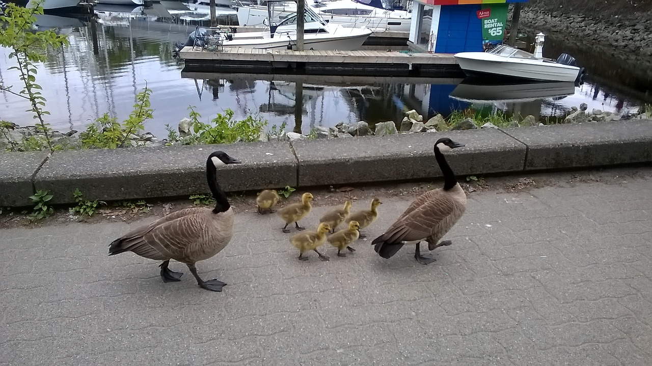 사랑한다면, 나처럼 1.jpg