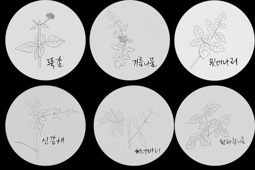 산형과 비교표.jpg