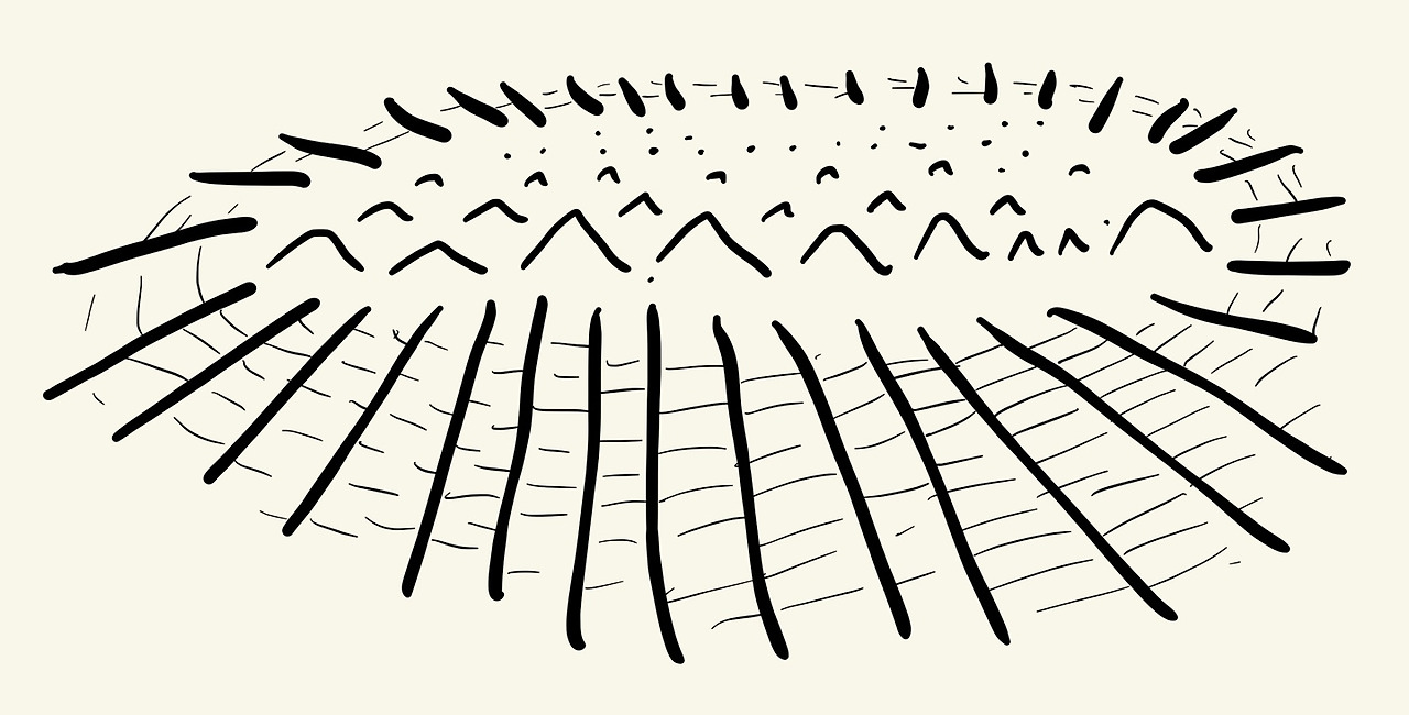 정점의 다변화.jpg