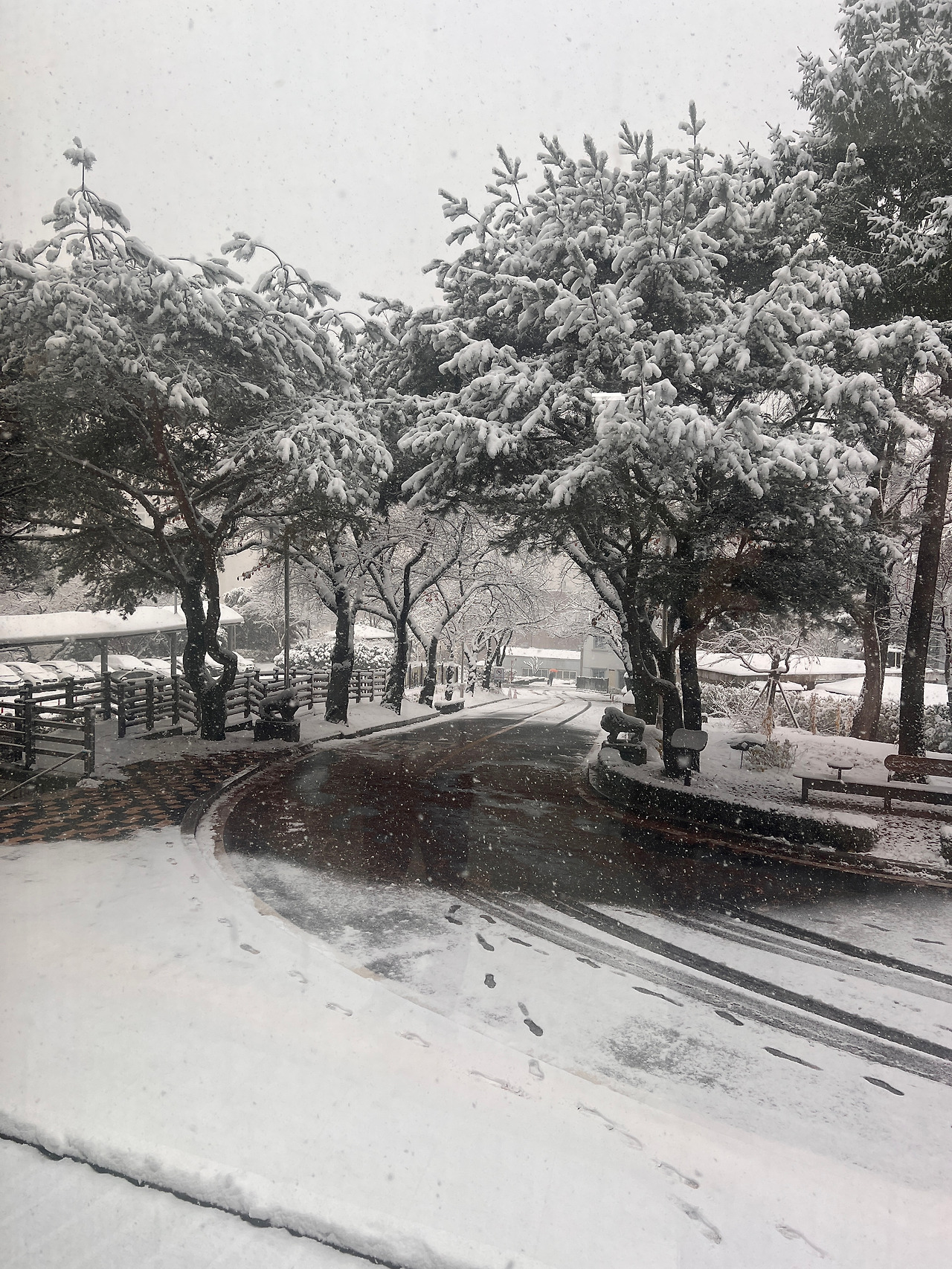 눈오는 학교.jpg