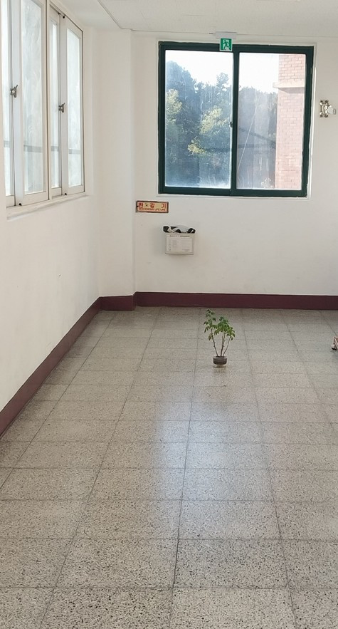 41. 3년 내내 1등.jpg