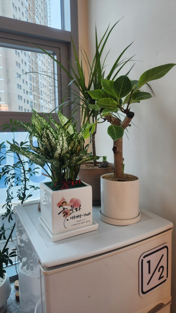 24. 머리 예쁘게 하시고!.jpg