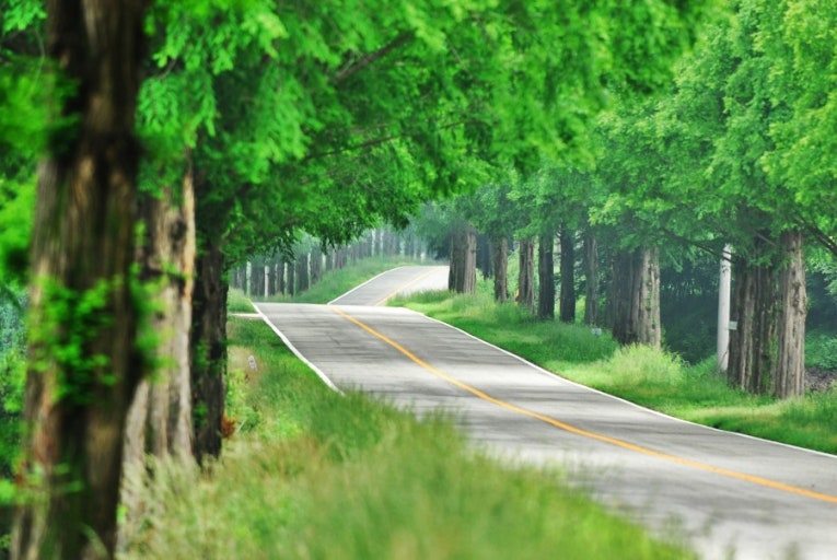 다운로드 (2).jpg