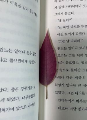 온라인 카지노 게임