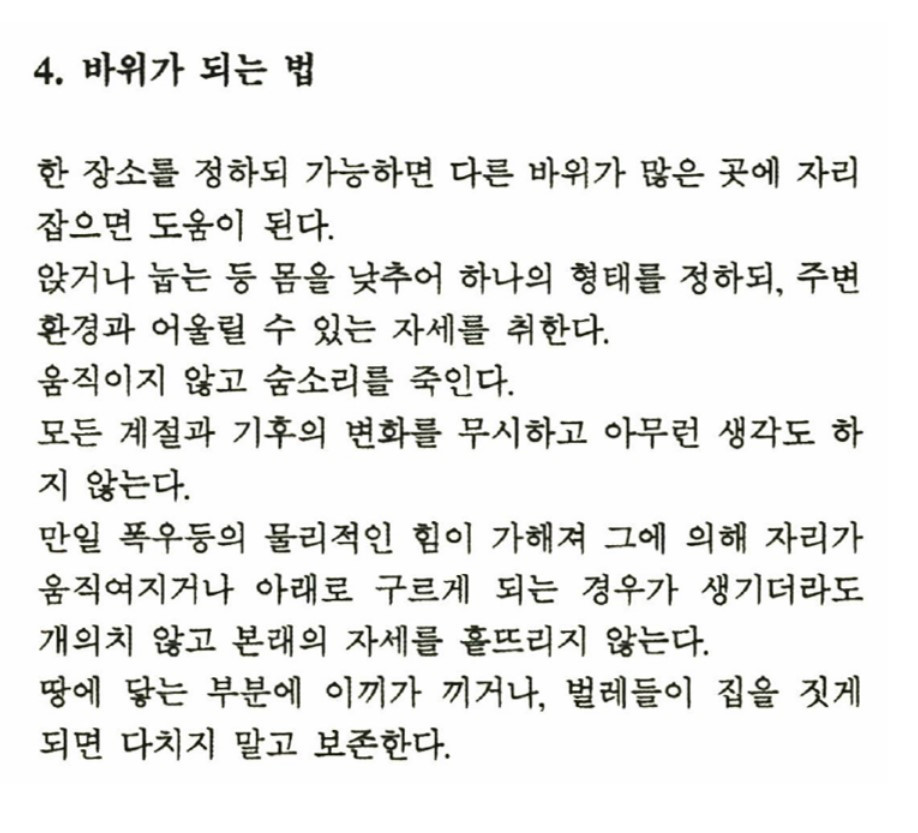 19 변신술, 바위가 되는 법, ⓒ김범.jpg