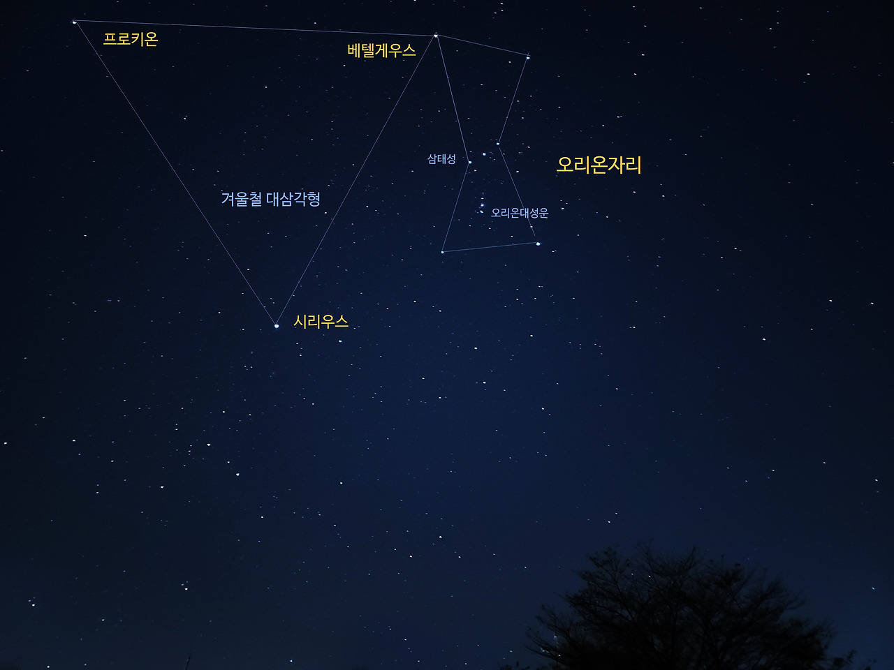 오리온별자리.jpg