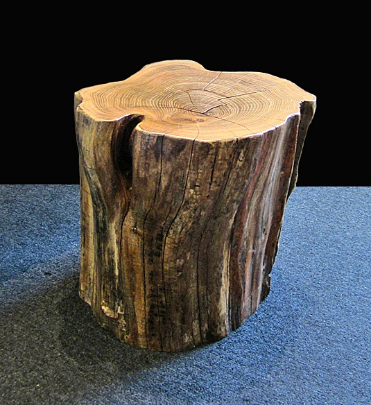 black locust stump.jpg