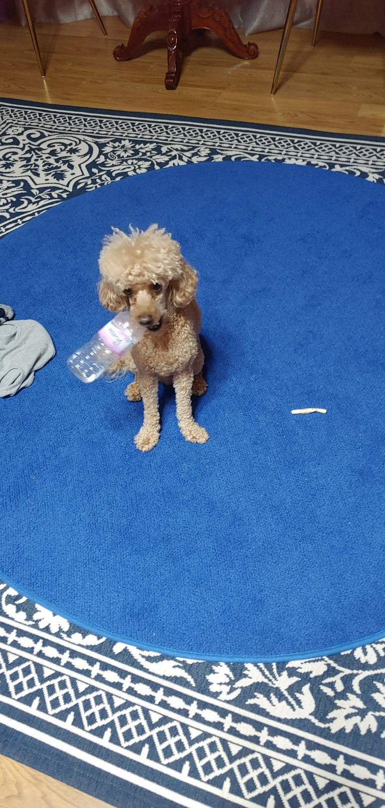 KakaoTalk_20230526_205301213_02 (1).jpg