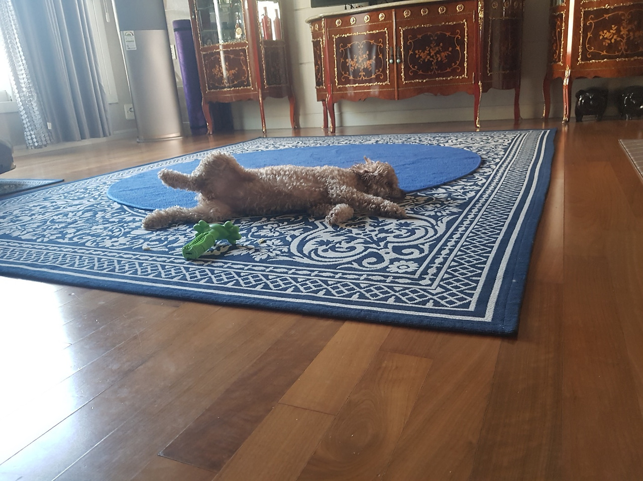 KakaoTalk_20230526_205301213_01 (1).jpg