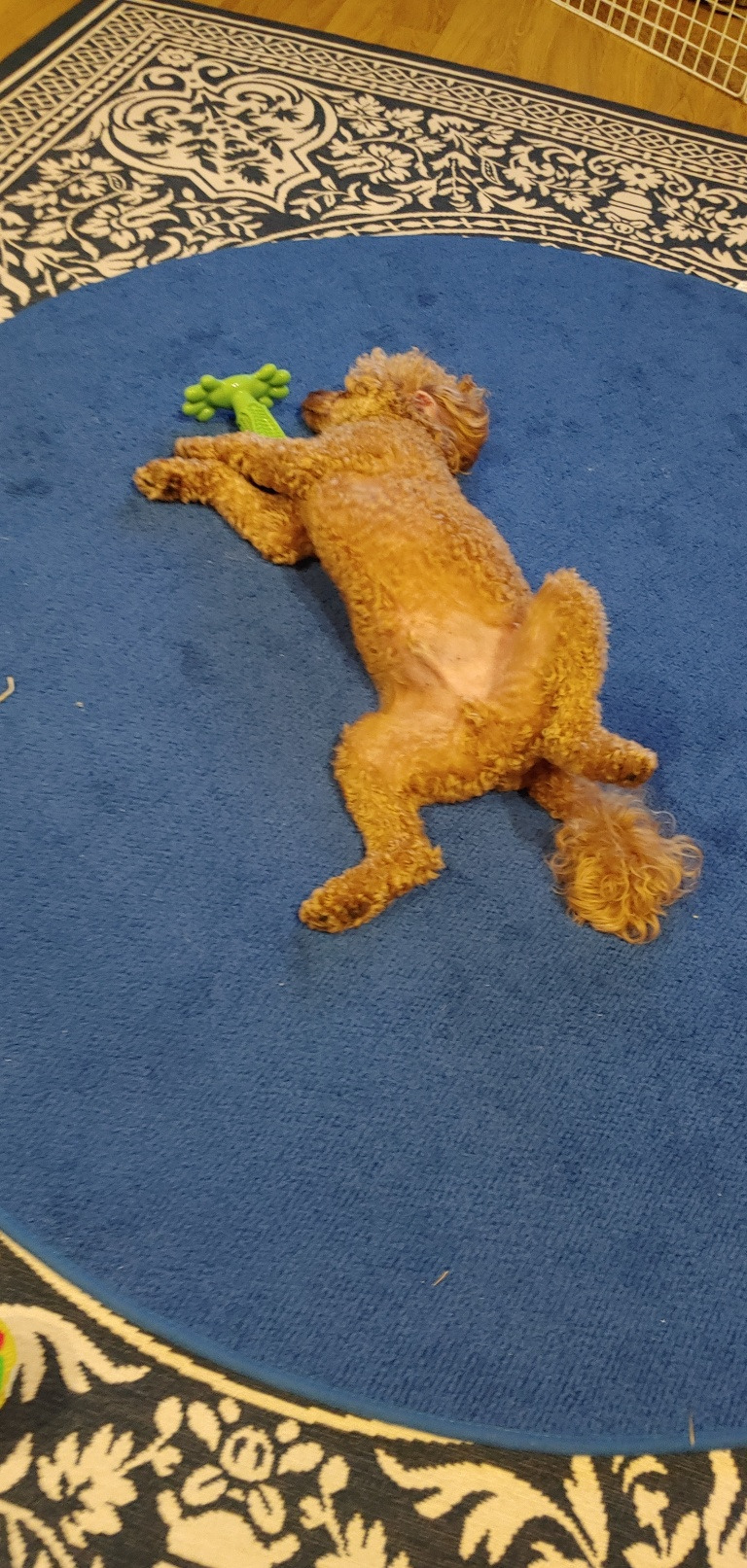 KakaoTalk_20230526_205301213_03 (1).jpg