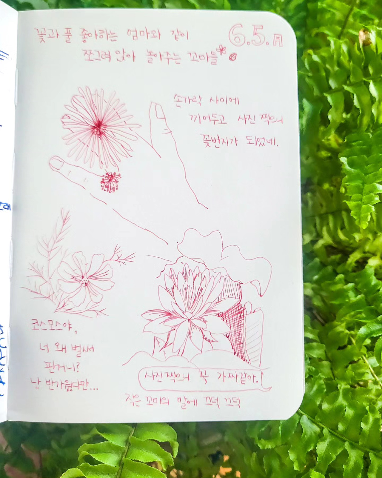 [수수한그림일기]나의 꽃친구들