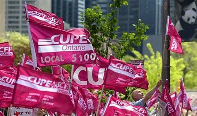 cupe.jpg