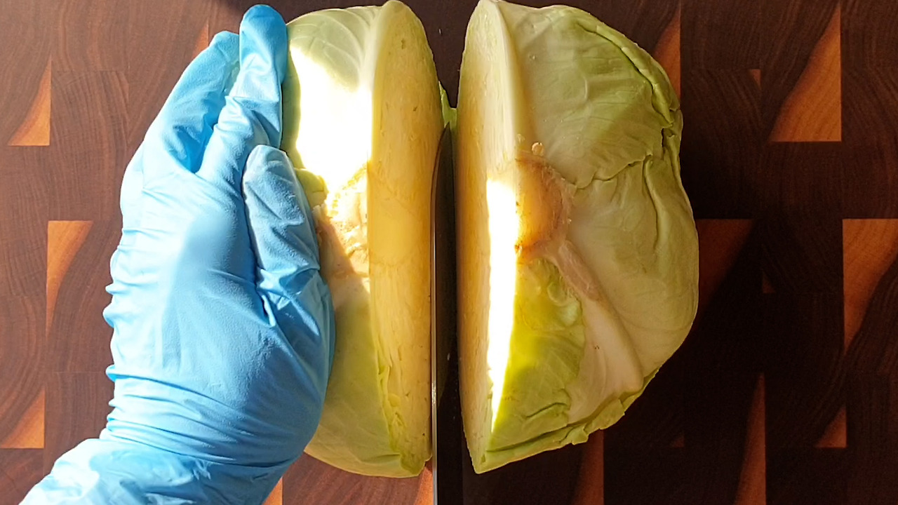 2.20220415_173200.00_00_20_00399.스틸 004.jpg