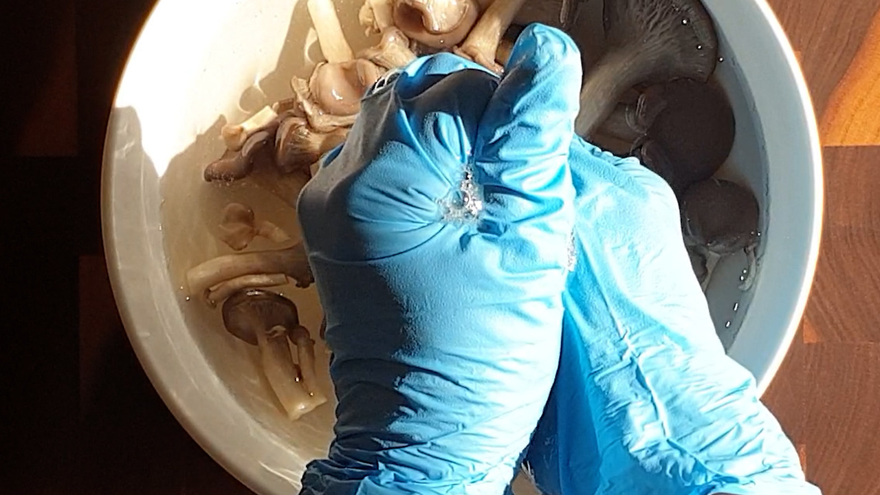 5.20220212_145157.00_00_51_15394.스틸 018.jpg