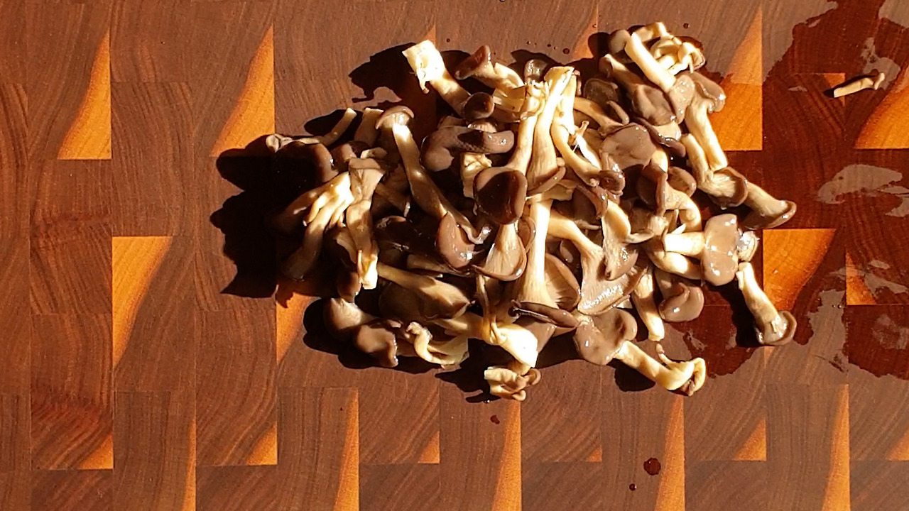 5.20220212_145157.00_00_59_22400.스틸 020.jpg