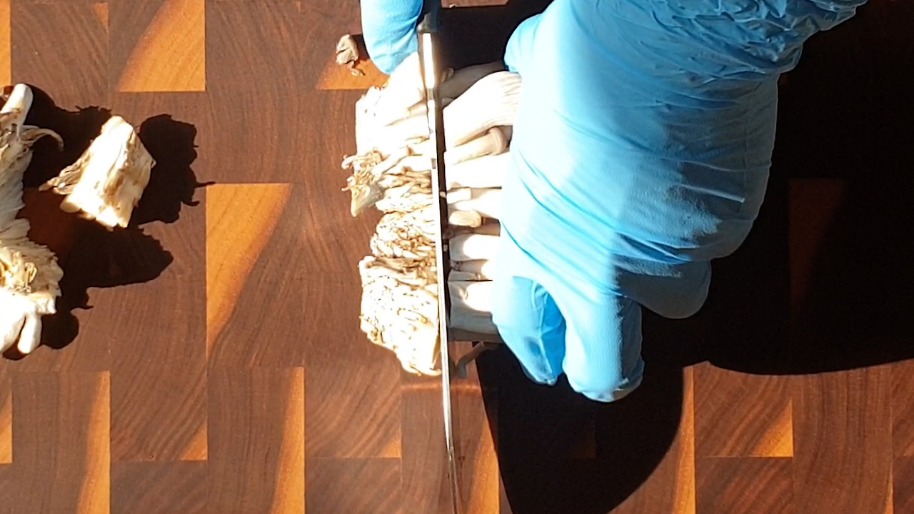 5.20220212_145157.00_00_09_22263.스틸 005.jpg