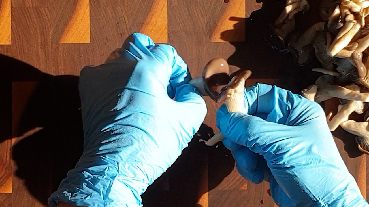 5.20220212_145157.00_00_56_00407.스틸 019.jpg