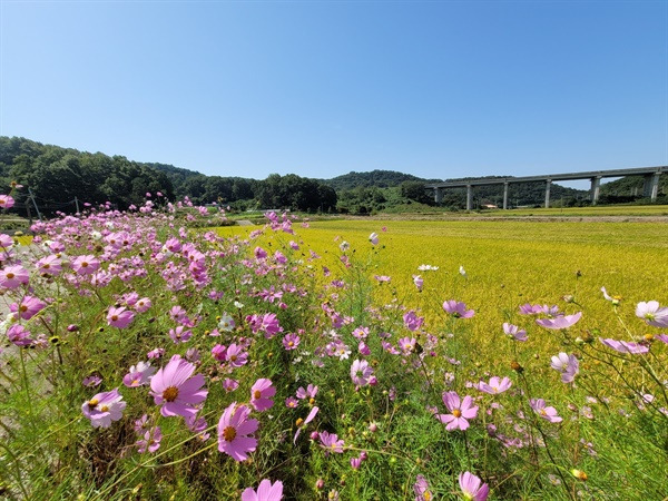 가을들녁 IE002874965_STD.jpg