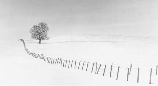 그리움 2025-08-15 092032.jpg