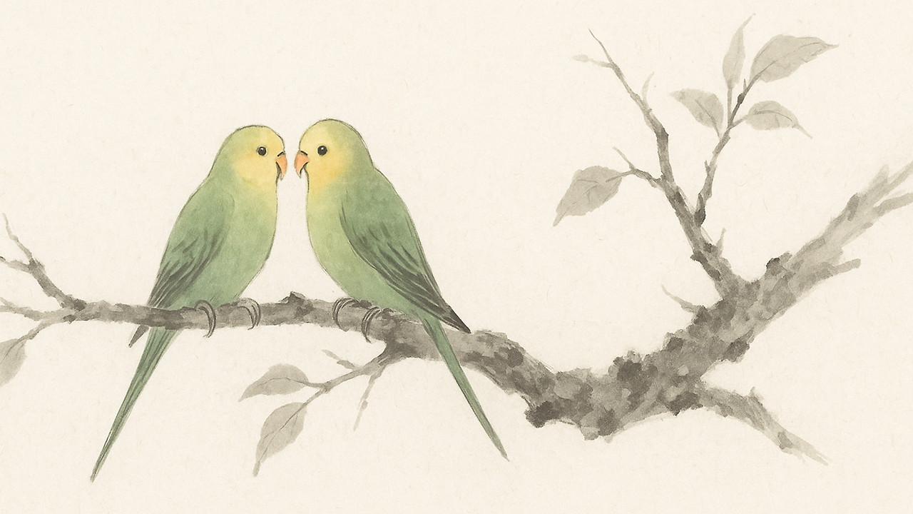 다운로드 (1).jpg