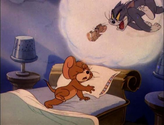 제리 이미지.jpg