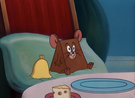 제리 이미지.jpg