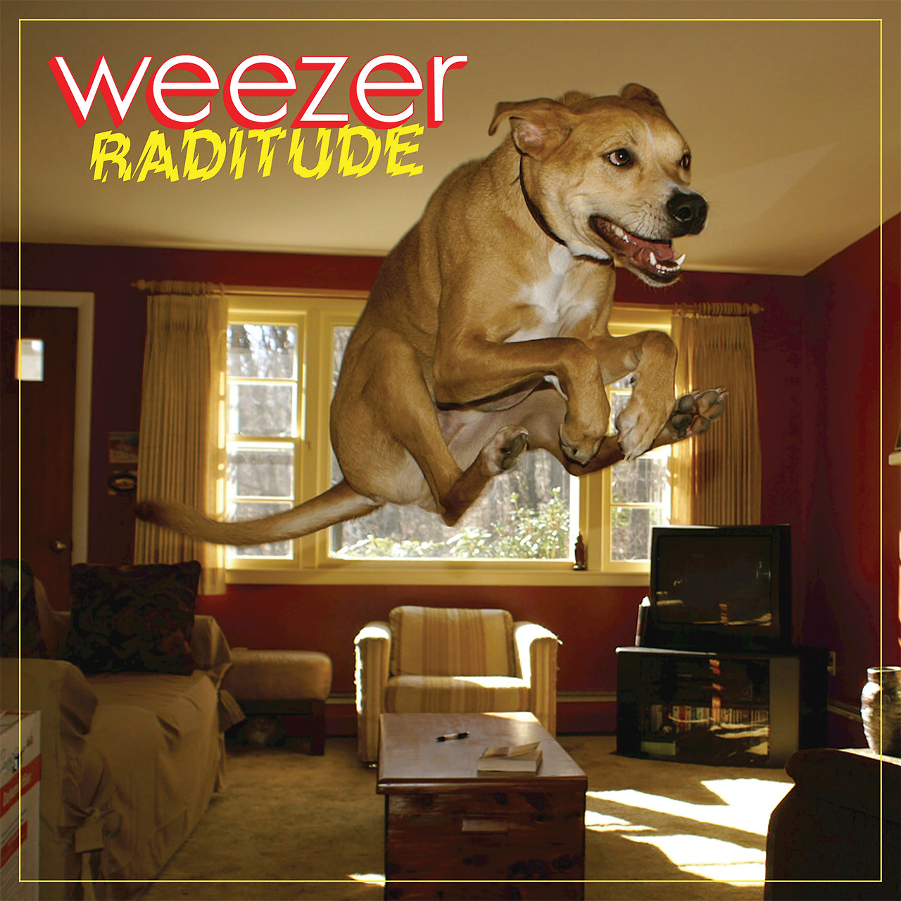 0. Raditude.jpg