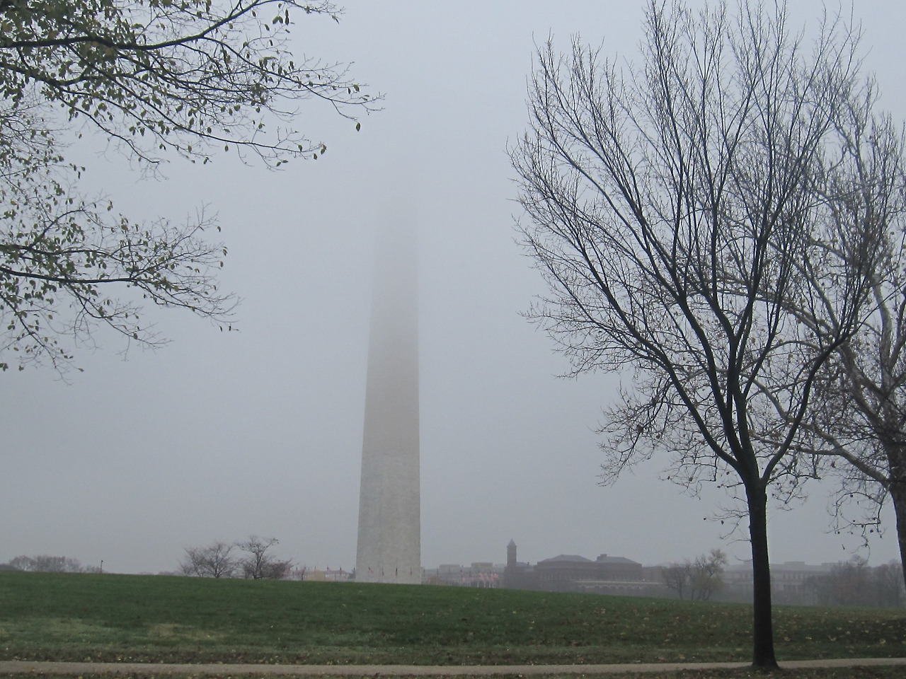 Guns, Germs, and Steel (총, 균, 쇠)