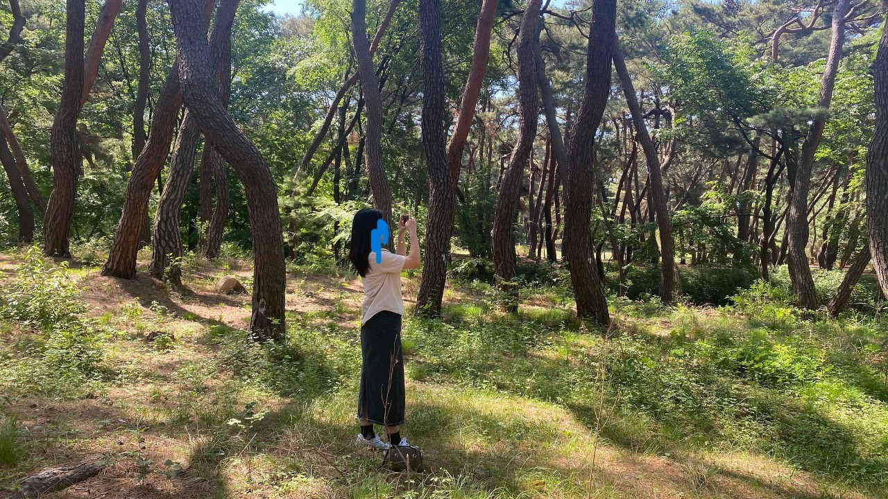 다운로드 (1).jpg