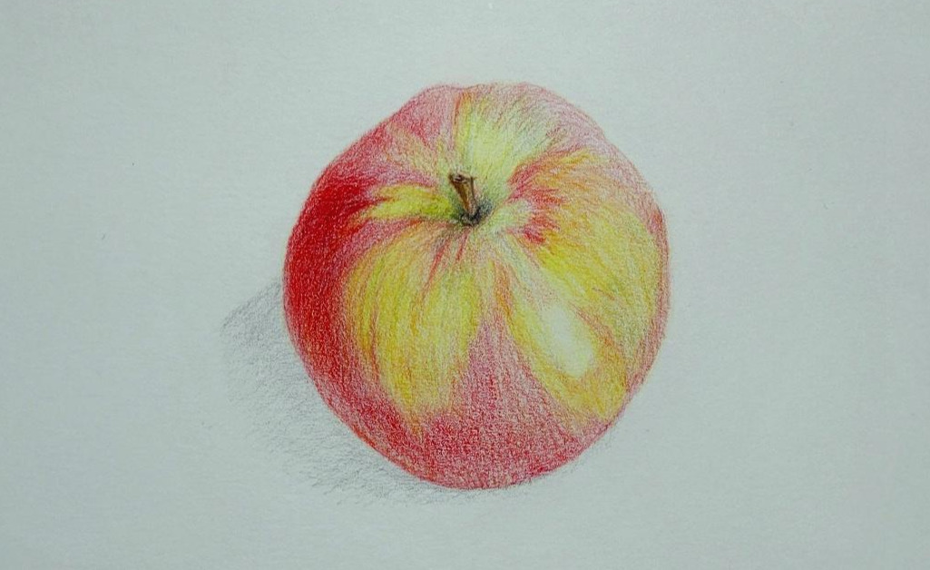 사과_사진.jpg