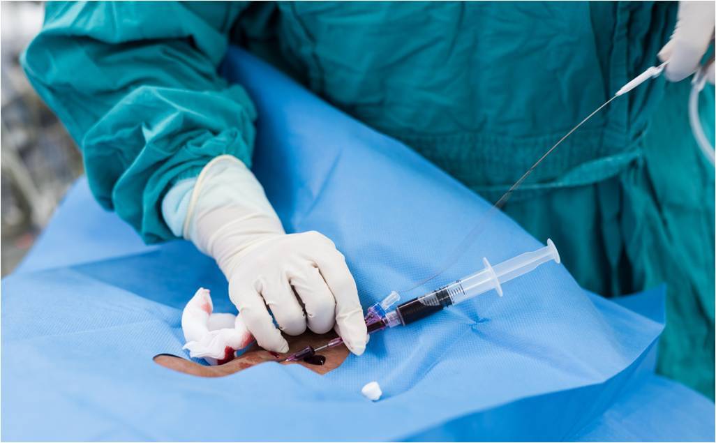 센트랄 라인.jpg