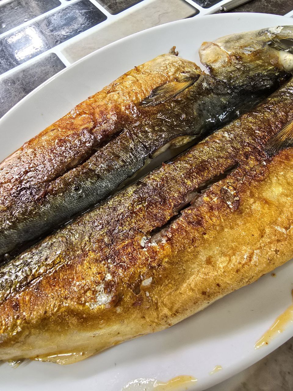 부산여행 부산맛집 동네맛집 남마담 고갈비 고등어 고등어구이 광복동 4.jpg