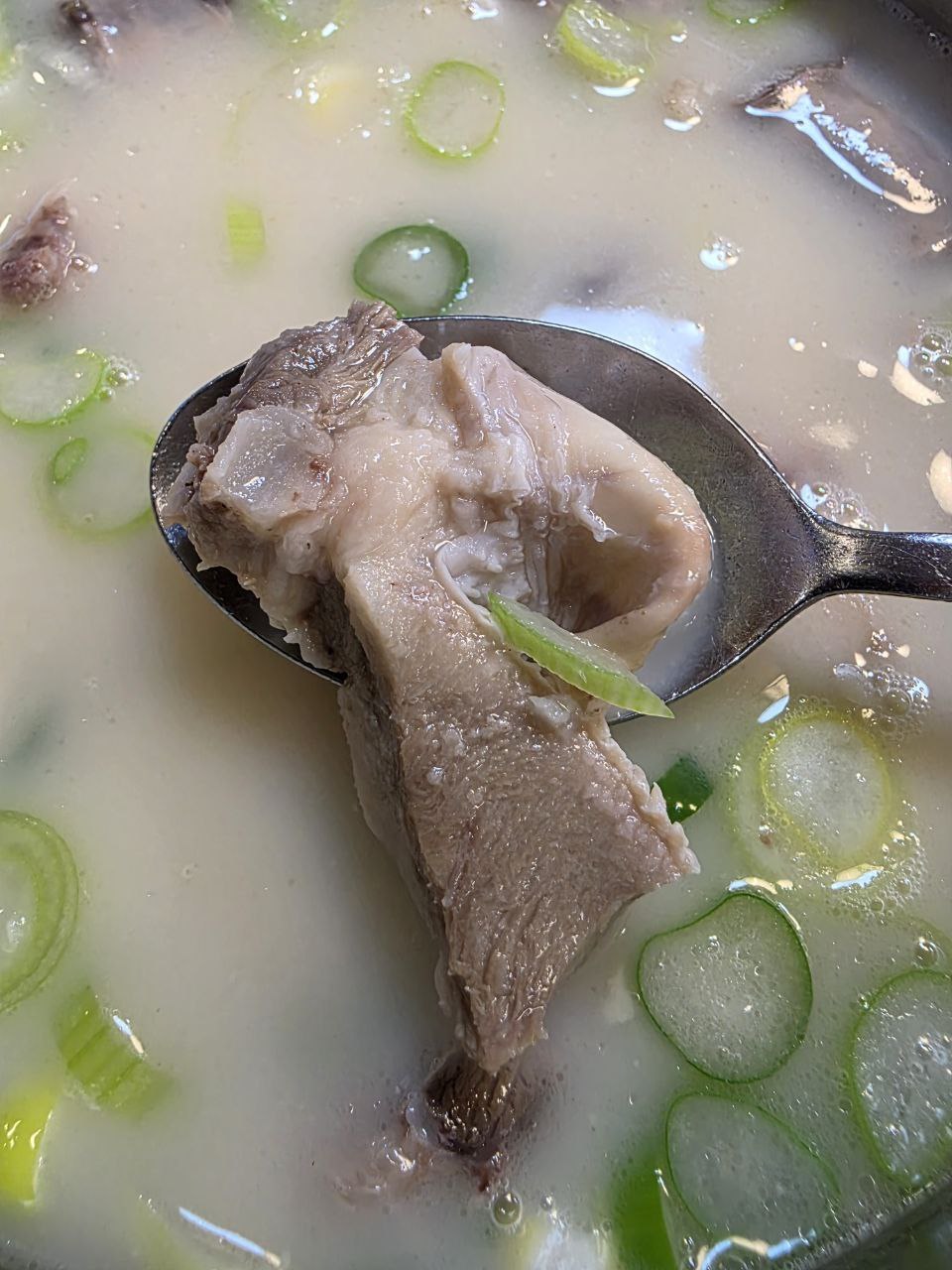 용인여행 용인맛집 동네맛집 순댓국 백암순대 백암 제일식당 백암면맛집 백암맛집 순대맛집 백암순대맛집 백암순댓국 8.jpg