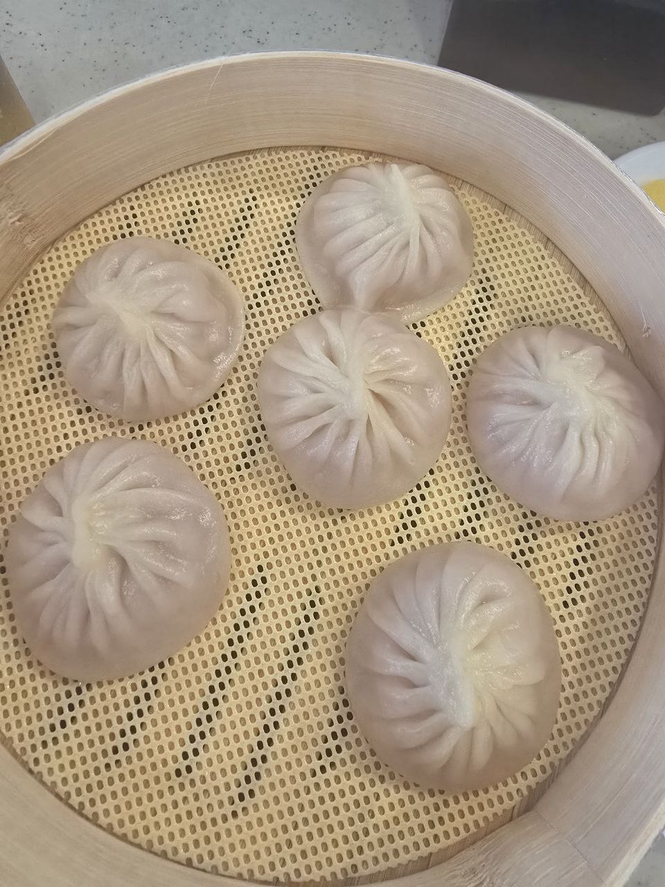 진주여행 진주맛집 동네맛집 만두 만두맛집 중국집 소룡포 탕바우 샤오롱바오 진주동네맛집 진주중국집 북경장 새우만두 군만두.jpg