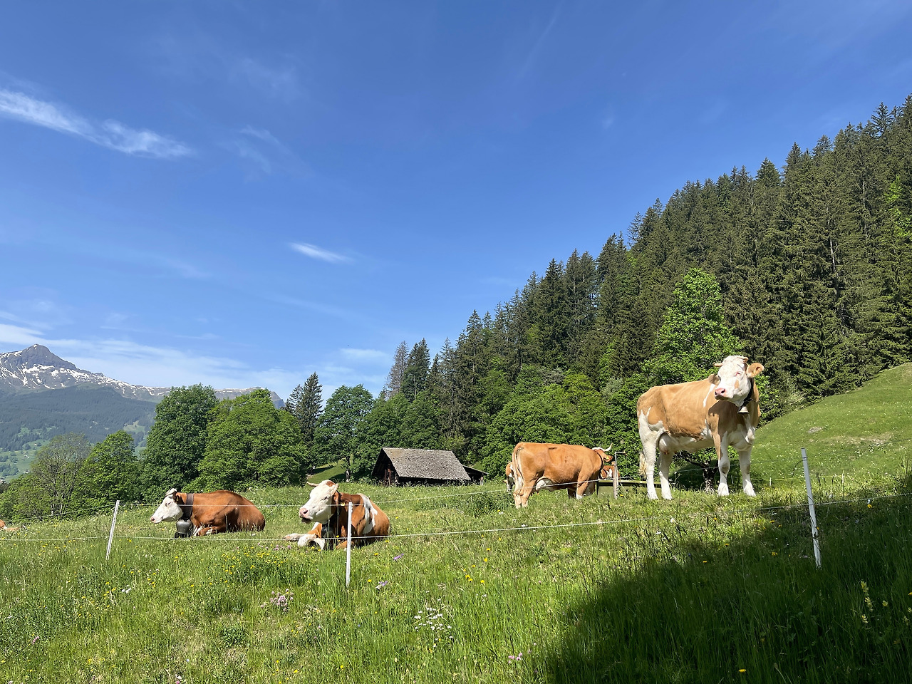 2022-05-23 10.34.10.jpg