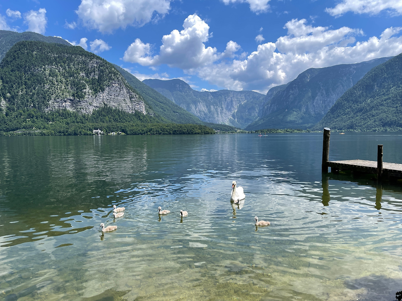 2022-06-11 12.57.30.jpg