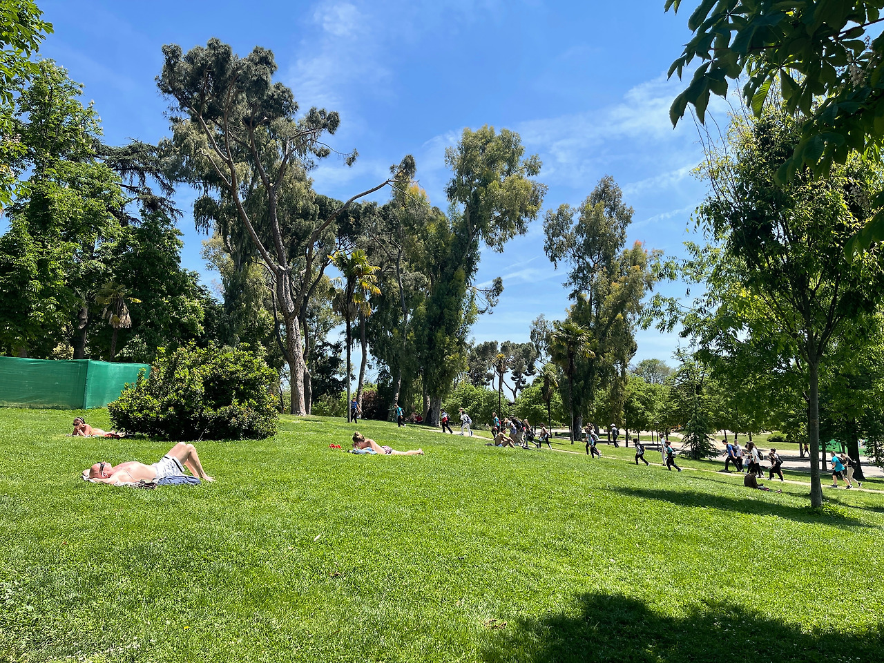 2022-05-11 14.30.03.jpg