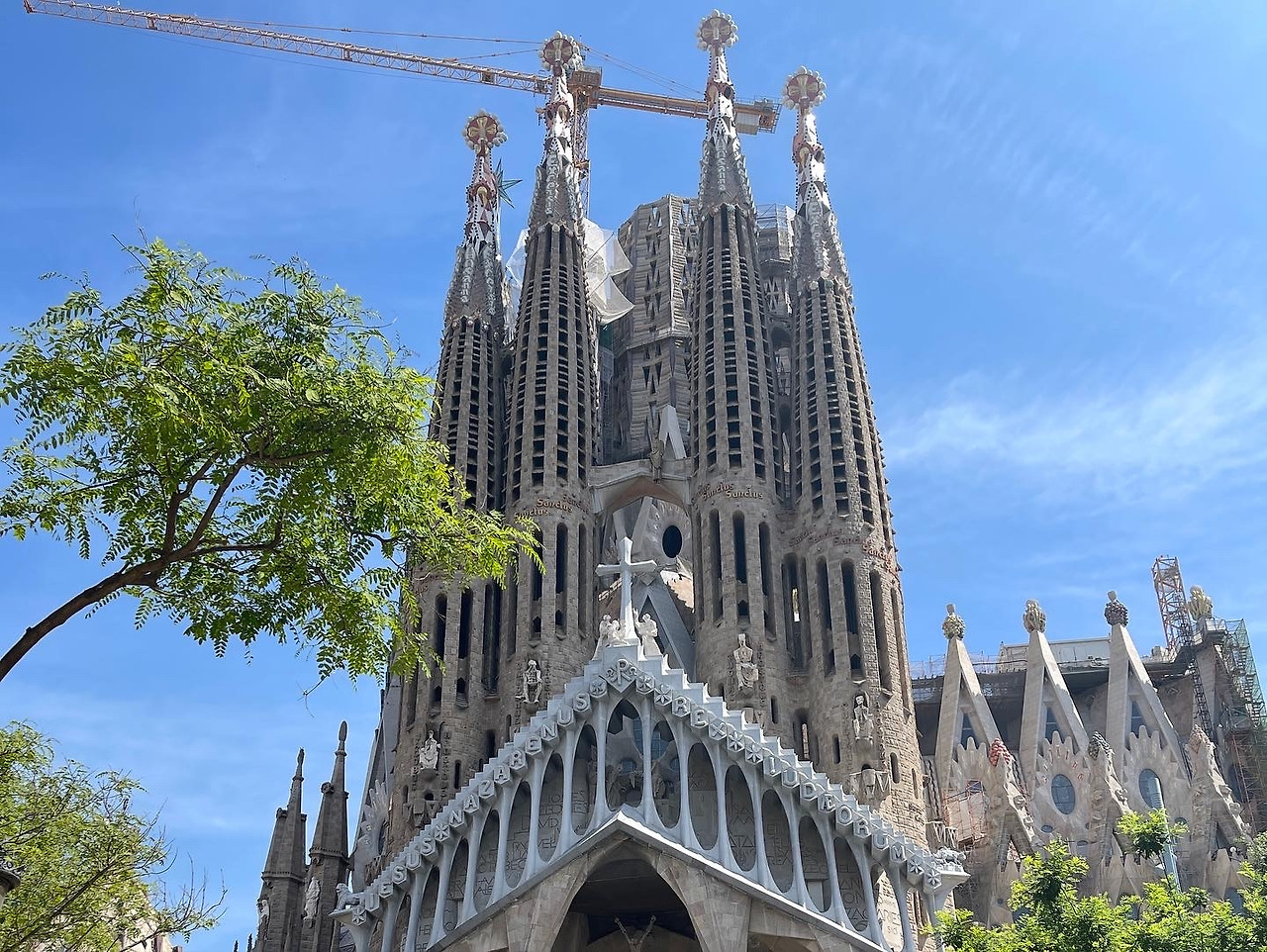 2022-05-16 16.40.18-5.jpg