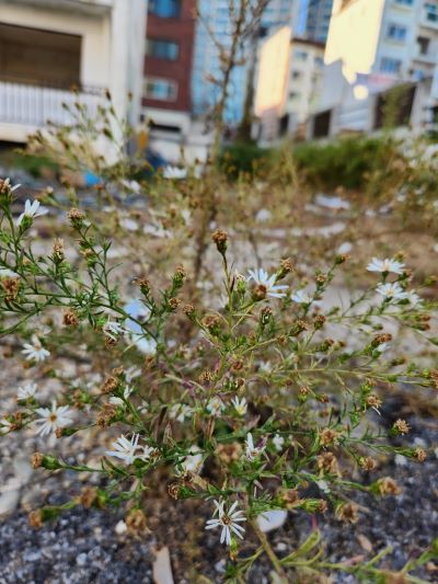 KakaoTalk_20241103_202834663 (2).jpg