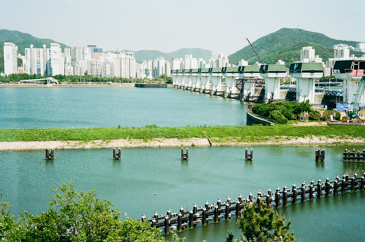 좋아하는 부산의 사진, 여행 사진_낙동강하구.jpg