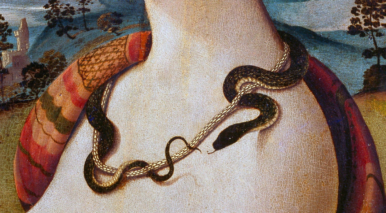 불가리 세르펜티 인피니토 참고 이미지 (3).jpg