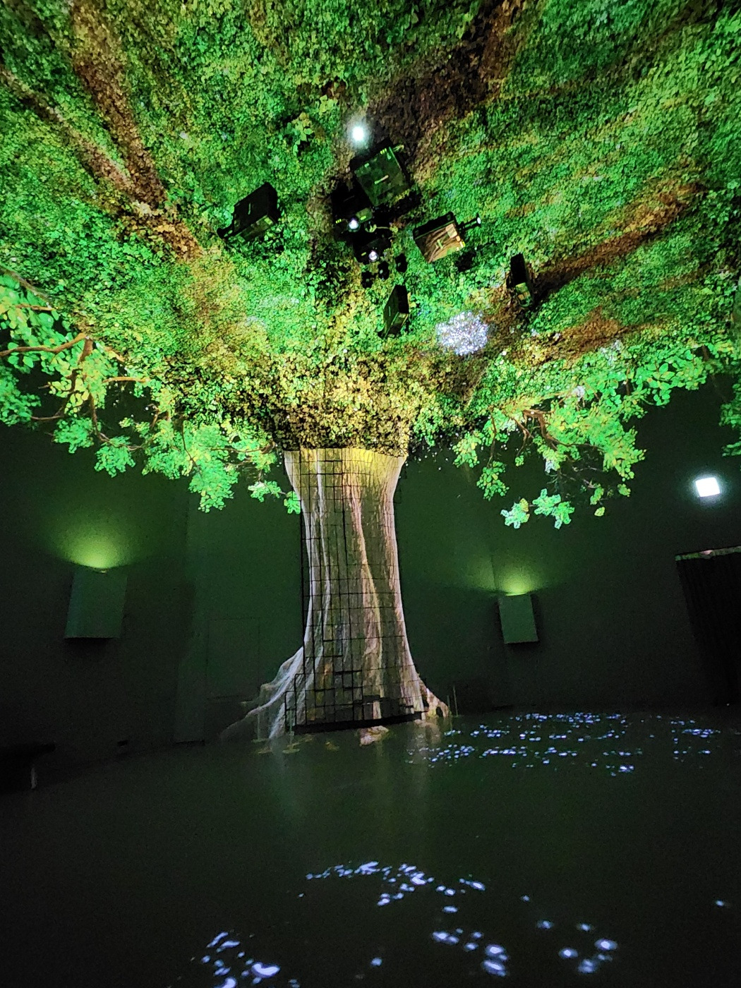 KakaoTalk_20231103_230049510_03 (1).jpg