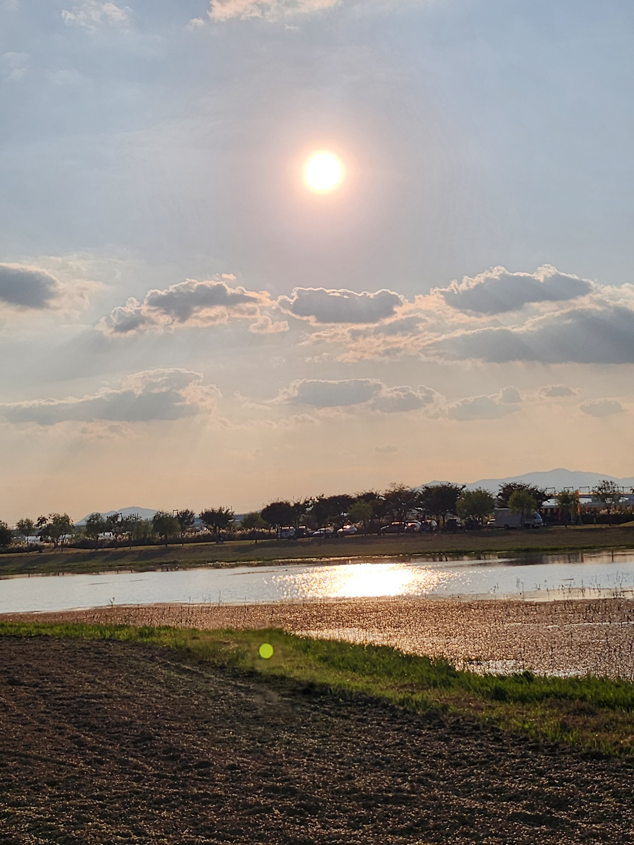 2023 낙동강구포나루축제 (6).jpg