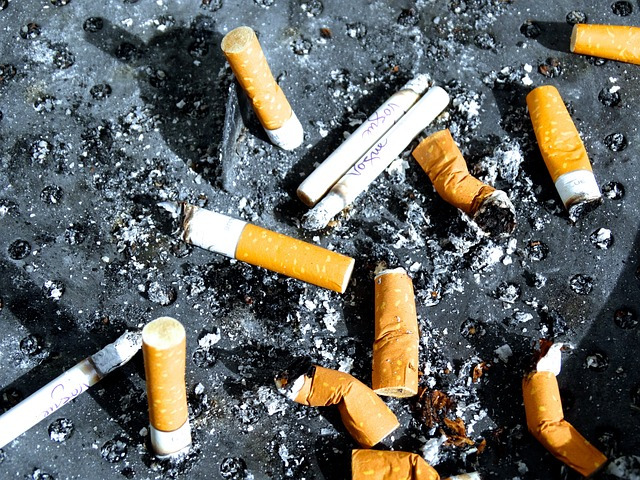 cigarette-butts-488402_640.jpg