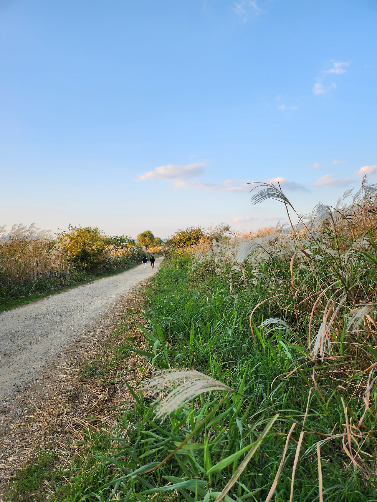 2023 낙동강구포나루축제 (26).jpg