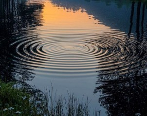 연못- 물결 - pinterest.jpg