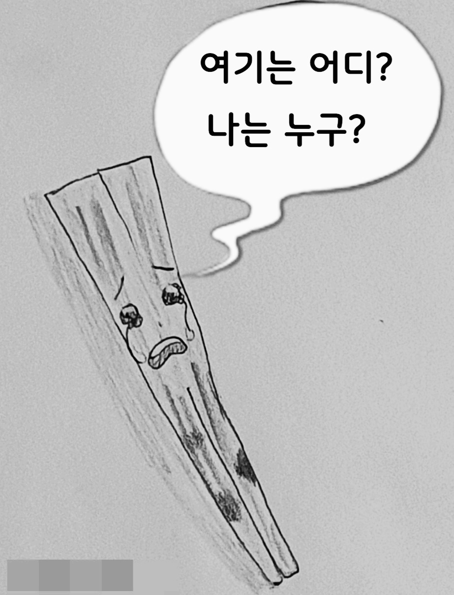 곰팡이핀 나무젓가락.jpg