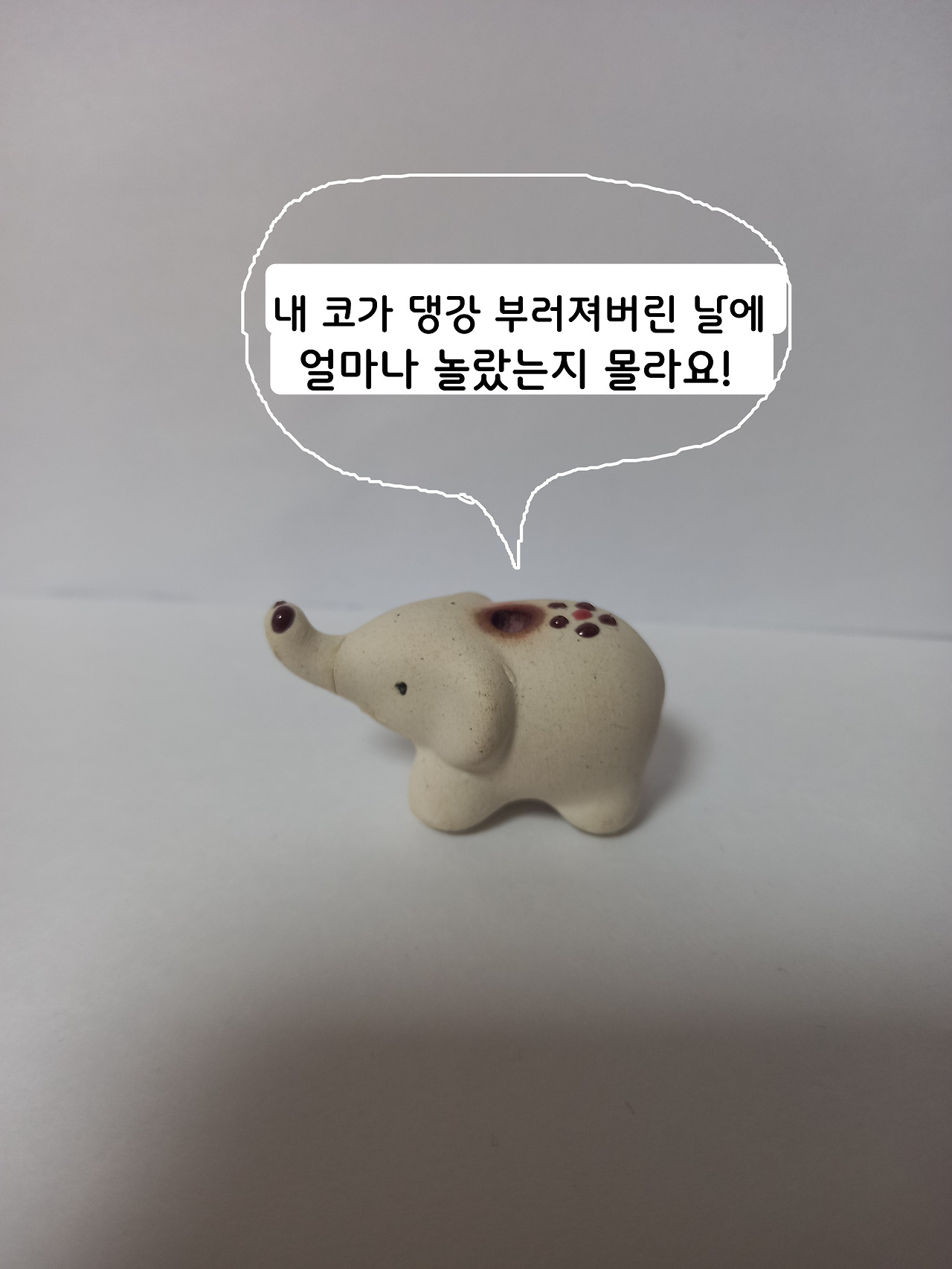 코가부러진코끼리1.jpg