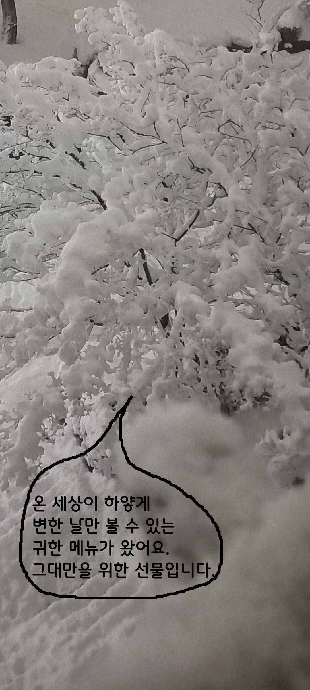 눈송이튀김어때요.jpg