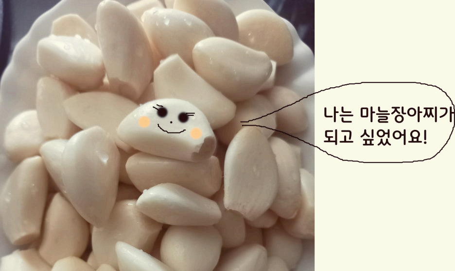 마늘이야기1.jpg